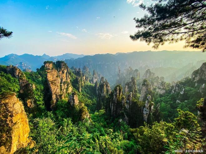 2025张家界旅游攻略暑假家庭游人均多少钱？森林公园+芙蓉镇(图2)