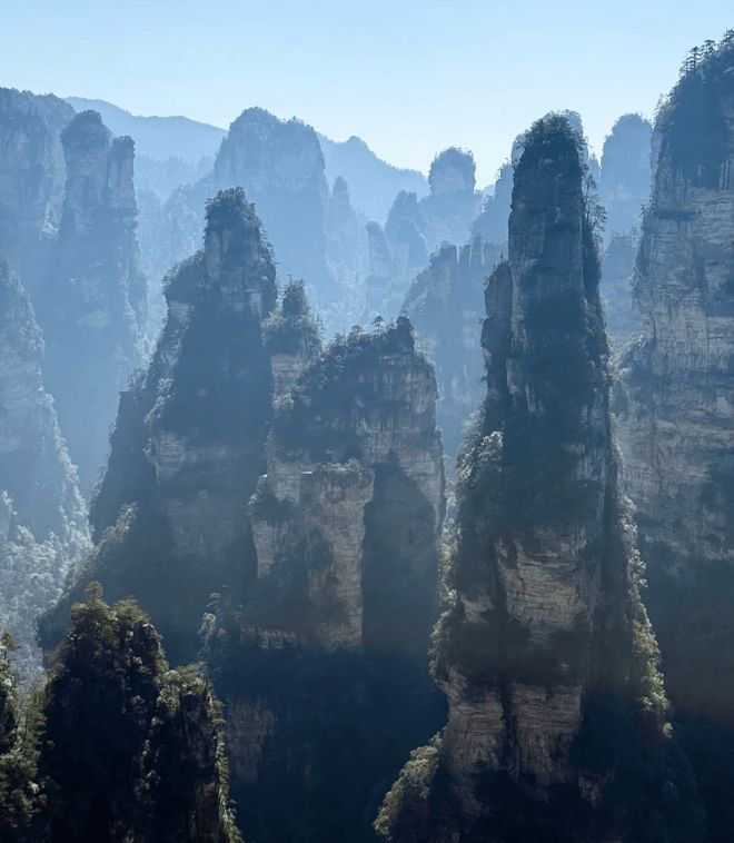 带小孩去张家界旅游担心太累？附张家界旅游费用明细和防猴小贴士(图1)