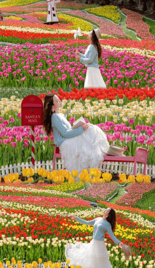 重庆旅游路线晚费用重庆导游小洁精品小团电话(图1)