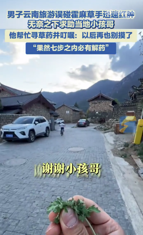 男子旅游误碰霍麻草手迅速红肿 无奈之下求助当地小孩哥(图2)