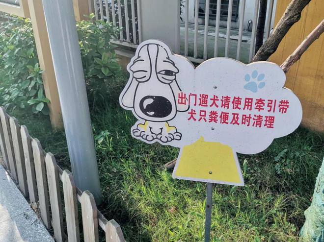 救命！南溪公园小心“地雷阵”那酸爽谁懂啊！(图3)