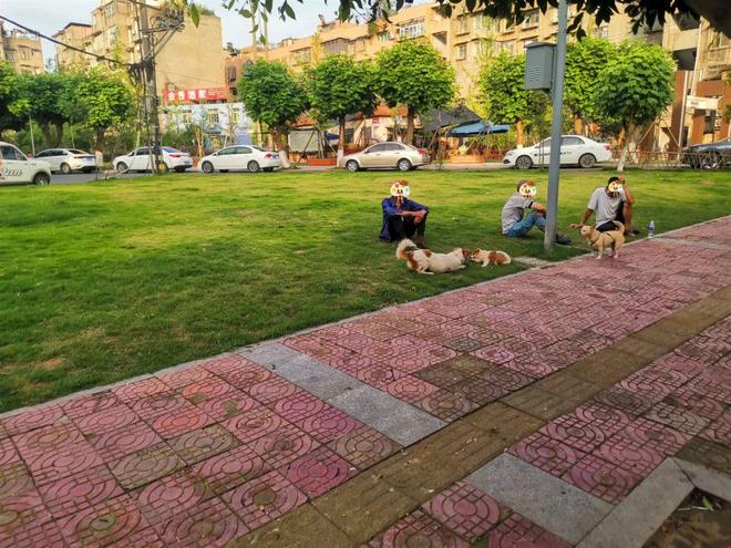 救命！南溪公园小心“地雷阵”那酸爽谁懂啊！(图2)