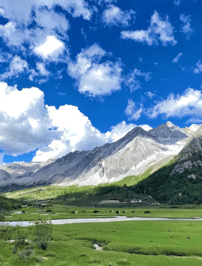 四川旅游必去景点四川六天五晚攻略含具体费用(图3)