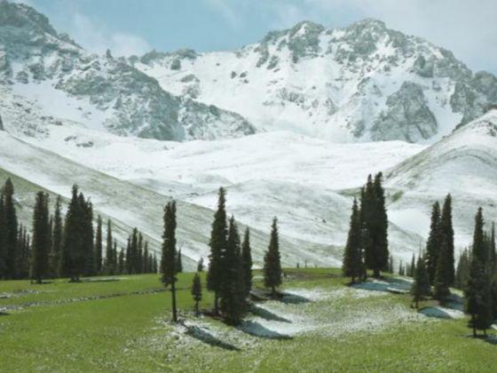 跟团去新疆旅游8天要多少钱？旅游团8日游价格表+亲子游攻略来了(图1)