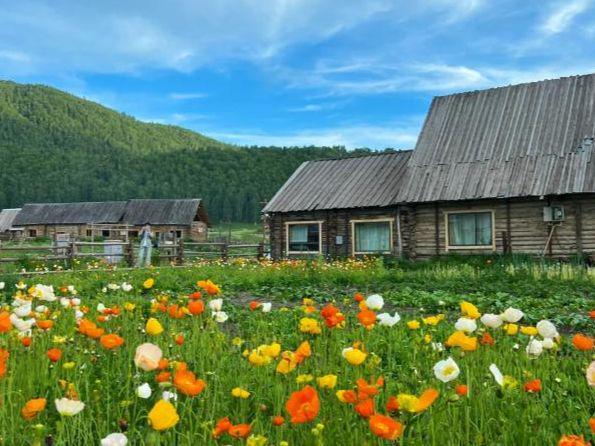 跟团去新疆旅游8天要多少钱？旅游团8日游价格表+亲子游攻略来了(图2)