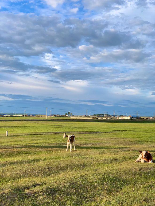 内蒙旅游六天找当地旅行社游多少钱内蒙6日游旅行社推荐(图2)