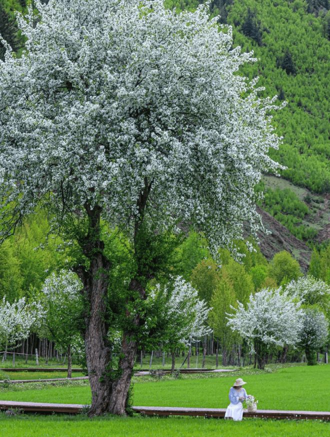 四川旅游景点大全：六日游最佳路线及暑假攻略费用一目了然(图2)