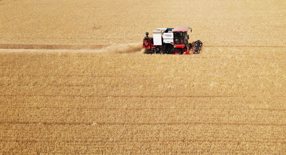 “三夏”生产一线观察｜田间好“丰”景 夏收正当时(图1)