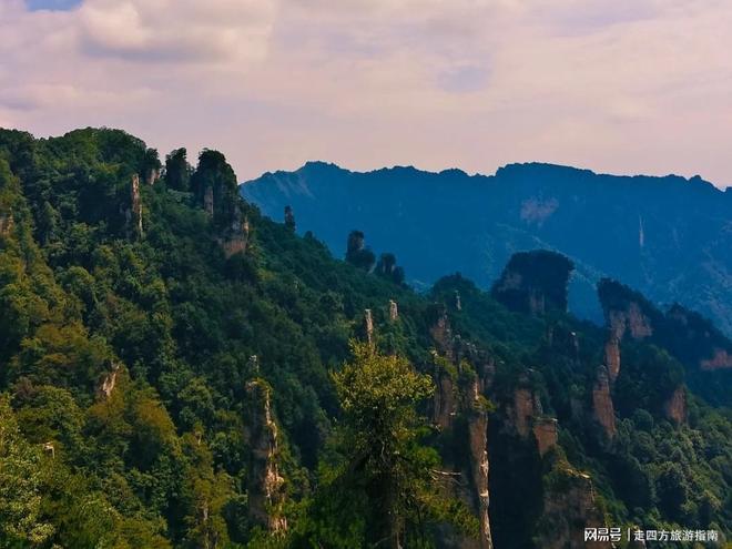 张家界五日游攻略:暑假家庭游芙蓉镇凤凰古城 本地向导报价(图1)
