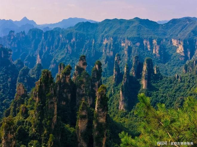 张家界五日游攻略:暑假家庭游芙蓉镇凤凰古城 本地向导报价(图3)