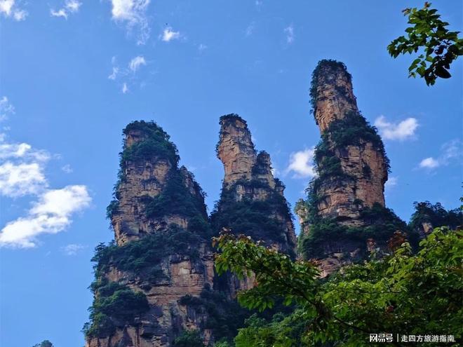 张家界五天怎么玩攻略老年团芙蓉镇+森林公园靠谱地接避坑(图1)