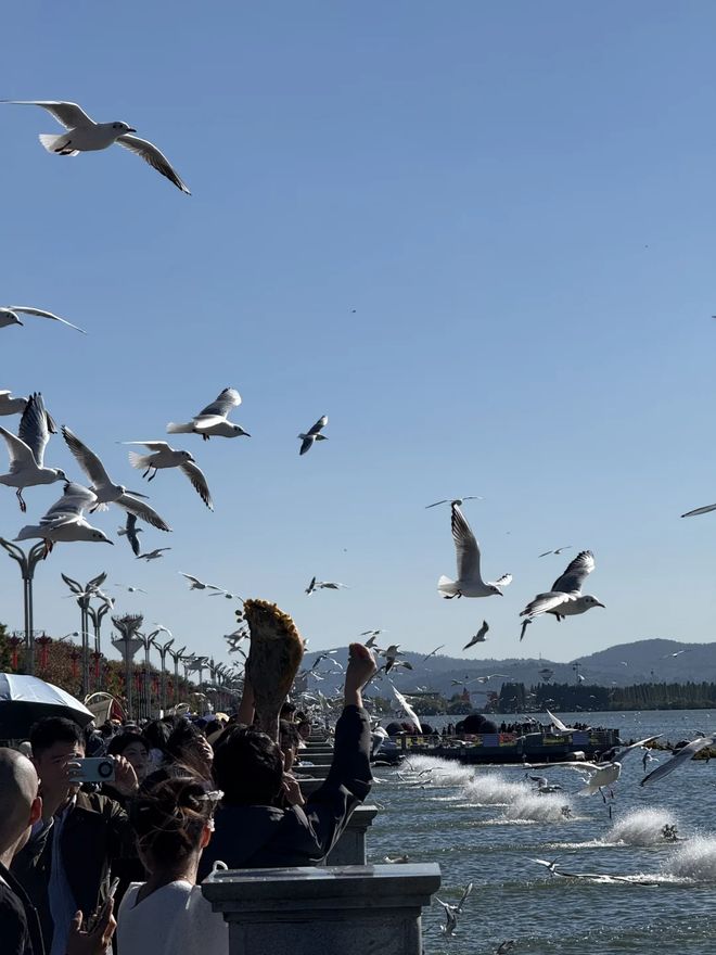 行走云南：6天时间如何安排？最美云南旅游团价格路线指南。(图3)