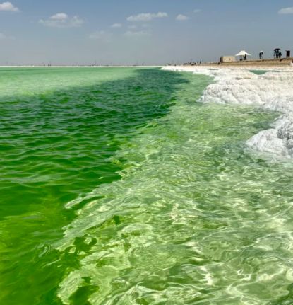 青海旅游带孩子6日游纯玩价格青海带孩子6天5晚纯玩最佳方案(图2)