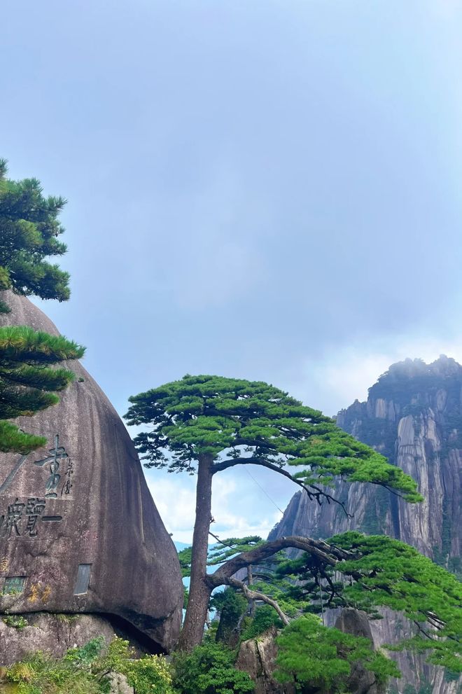 黄山亲子3日游价格攻略黄山研学三天轻松行程(图2)