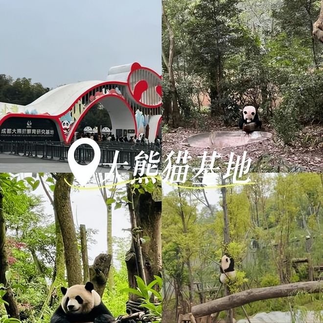 成都四天三晚旅游景点推荐成都4日游跟团行程+费用+避坑指南(图4)