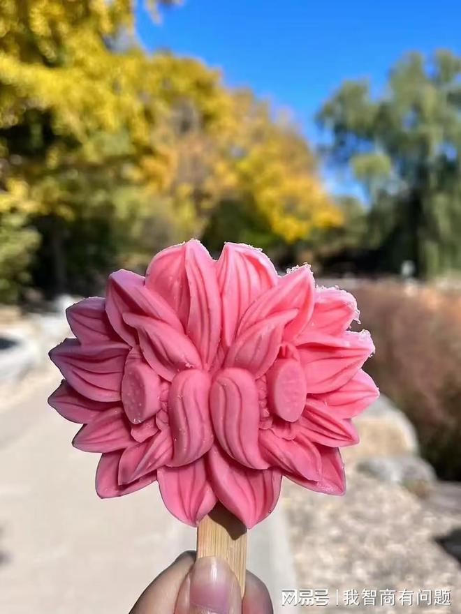 信导航带爸妈+娃北京秋游好途定制游连胡同都帮你算好路(图1)