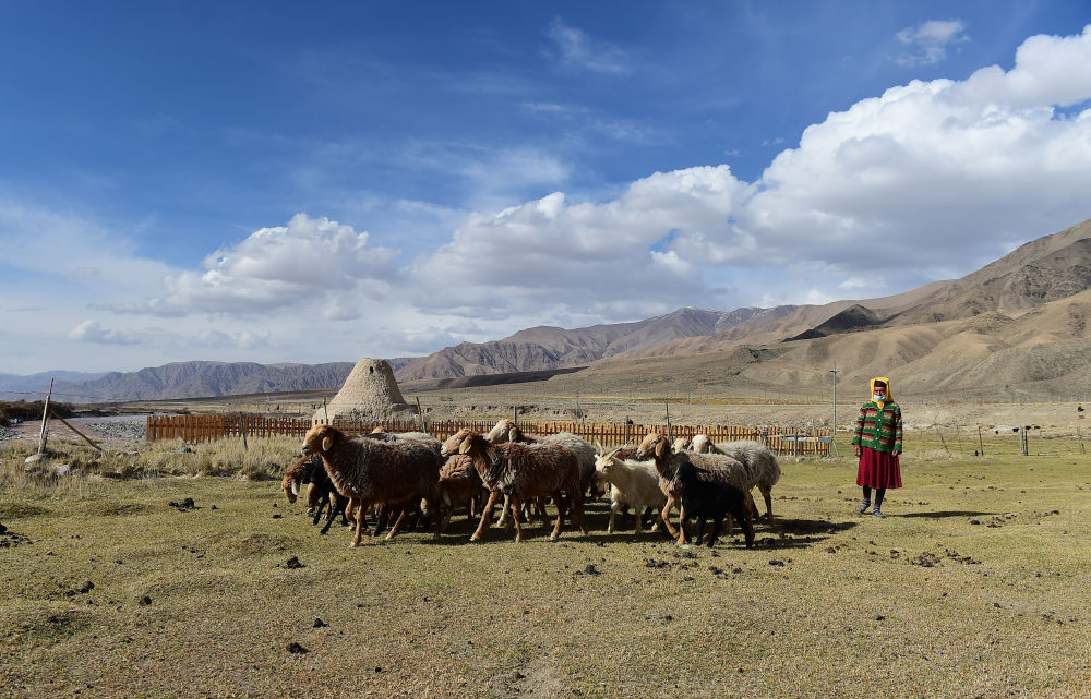 跟着环塔游新疆｜喀什篇：穿古城触云端天地大美(图35)