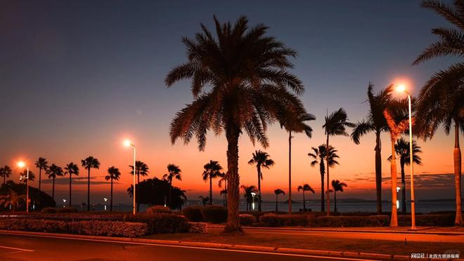 12月假期带孩子去厦门5天注意事项厦门有哪些美景及美食推荐？(图2)