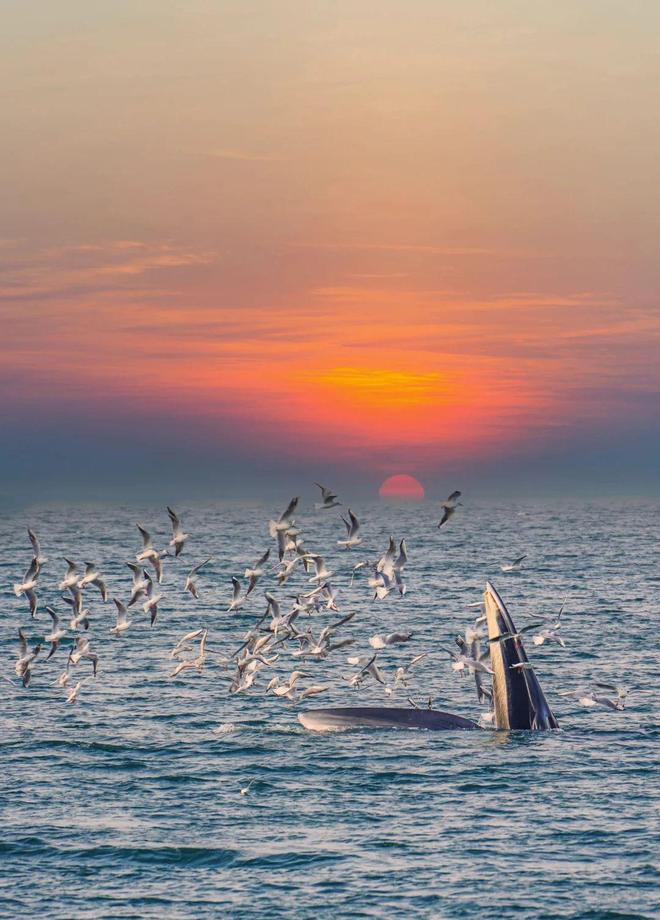 广西亲子游超全攻略：带孩子打卡热门景点元旦6天行程分享(图3)