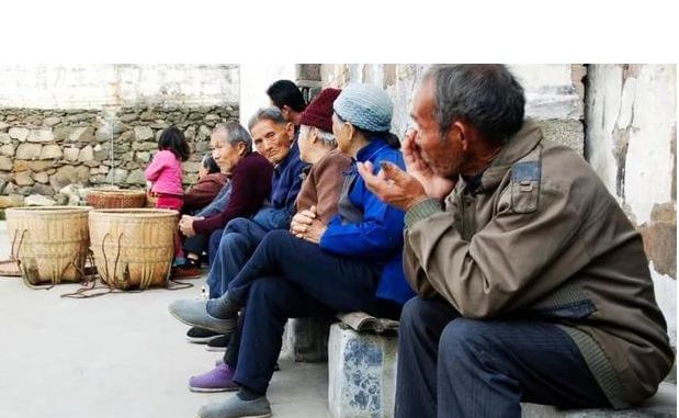 全网十五傻看里面有你吗？最后一傻傻到冒烟一个不占睿智之人(图5)